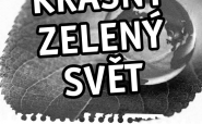 Krásný zelený svět