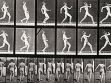 Eadweard Muybridge, Cyklus Locomotion 1887, fotografie