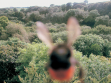 Bee Adventure, 2003,  photographs of bee taken on posthumous tour of the south of England