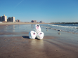 Snow Balls, 2006, Coney Island